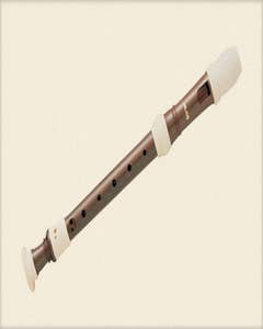 AULOS Descant/Soprano Recorder Palisander AU703BW (AU703BW)