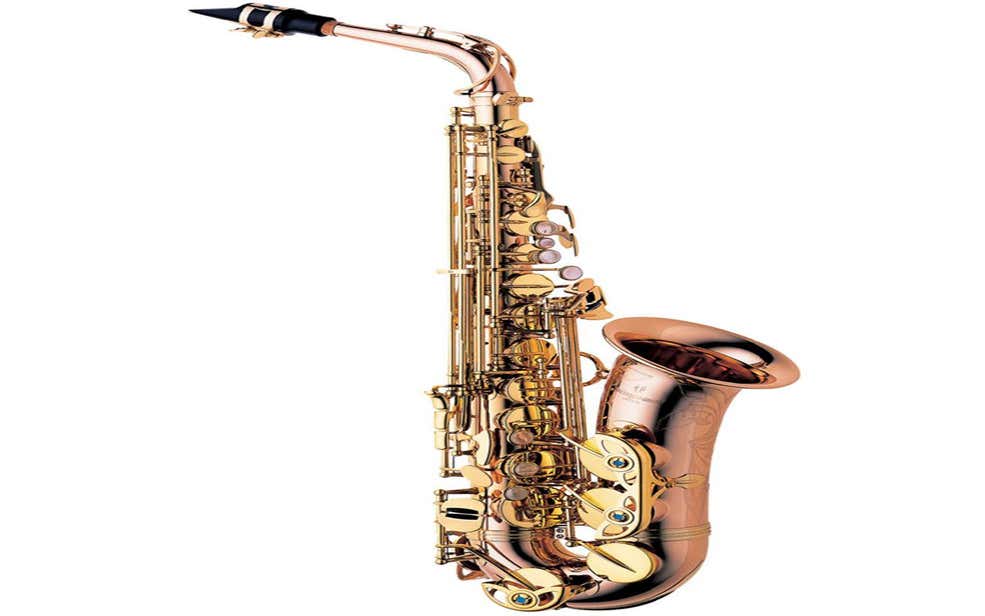 Yanagisawa AWO2 Bronze Professional Alto sax (A-WO2)