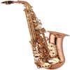 Yanagisawa AWO20 Professional Bronze Alto Sax