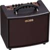 Boss AC22LX Compact Stereo Acoustic Amplifier