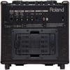 Roland AC-33 Acoustic Chorus Guitar Amplifier - Rosewood