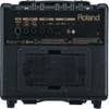 Roland AC-33 Acoustic Chorus Guitar Amplifier - Black