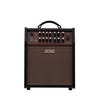 Boss Acoustic Singer Live LT Compact Acoustic Instrument Amp