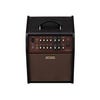 Boss Acoustic Singer Live LT Compact Acoustic Instrument Amp