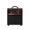 Boss Acoustic Singer Live LT Compact Acoustic Instrument Amp