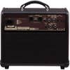 Boss Acoustic Singer Live Amplifier Combo