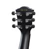 Ibanez AEG50 BK Acoustic Guitar