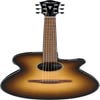 Ibanez AEG50 DHH Acoustic Guitar