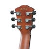 Ibanez AEG50 IBH Acoustic Guitar