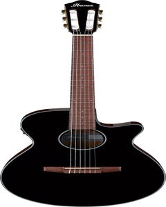 Ibanez AEG50N BKH Acoustic Guitar
