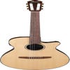 Ibanez AEG50 NNT Acoustic Guitar