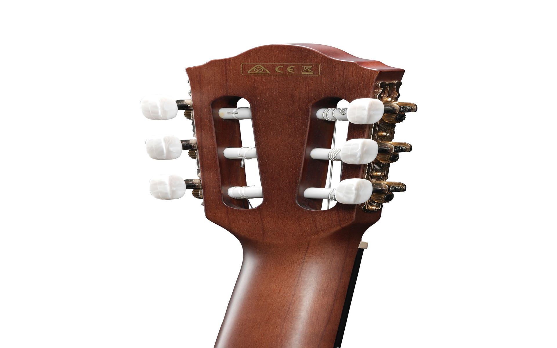 Ibanez AEG50 NNT Acoustic Guitar