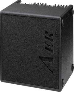AER Domino2 100w Acoustic Guitar Amp