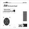 AER Amp Three 2x8