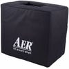 AER Domino2 100w Acoustic Guitar Amp