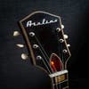 60’s Airline 7230 (Harmony H78) 3x Argyle Gold Foil Pickups & Hard Case - Pre Owned