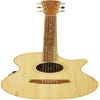 Cole Clark CCAN2EC-BB Acoustic Electric Guitar w/Case - Bunya/Blackwood