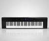 Artesia Pro A-61 BK 61-note Portable Digital Piano - Black