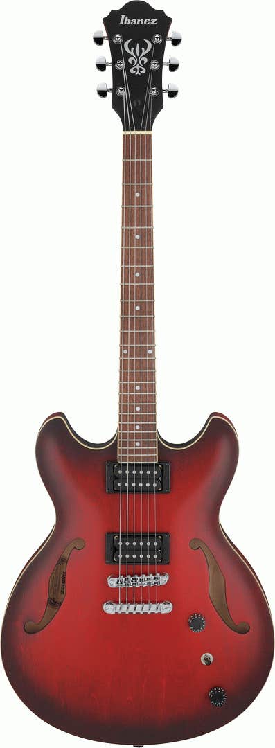 Ibanez as53 discount