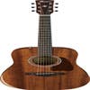 Ibanez AW54JR OPN Acoustic Guitar w/Bag - Open Pore Natural