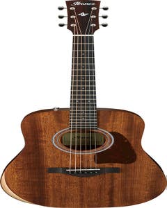Ibanez AW54JR OPN Acoustic Guitar in Padded Bag