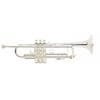 Bach Stradivarius Trumpet 180S-43  (BA180S/43)