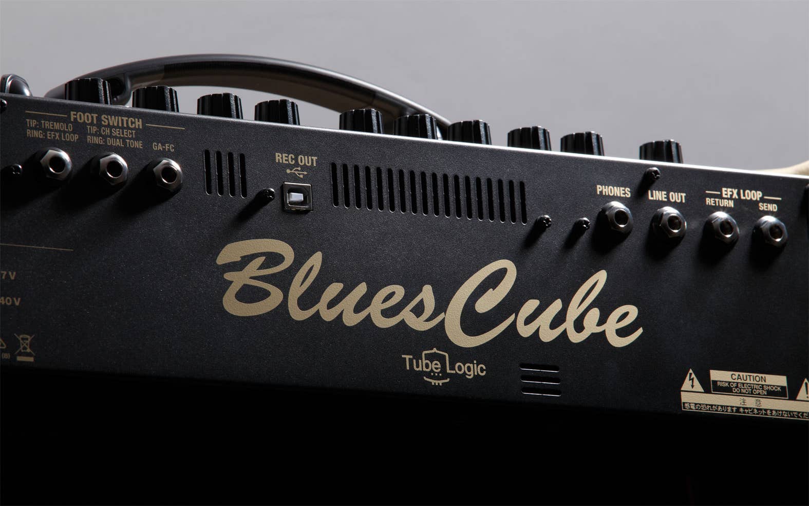 Roland Blues Cube Artist Guitar Amplifier (BCARTIST)