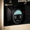 Roland Blues Cube Artist Guitar Amplifier (BCARTIST)