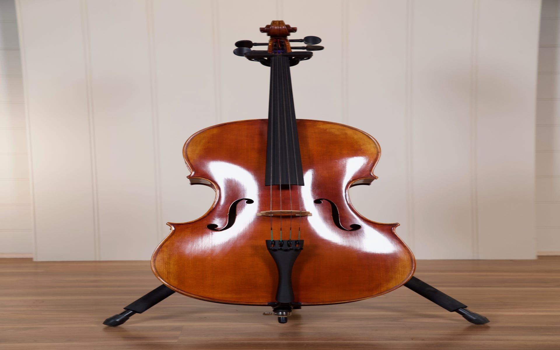 Raggetti Master Cello 6.1 4/4 Cello Outfit - Rocca Model