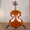 Raggetti Master Cello 6.1 4/4 Cello Outfit - Rocca Model