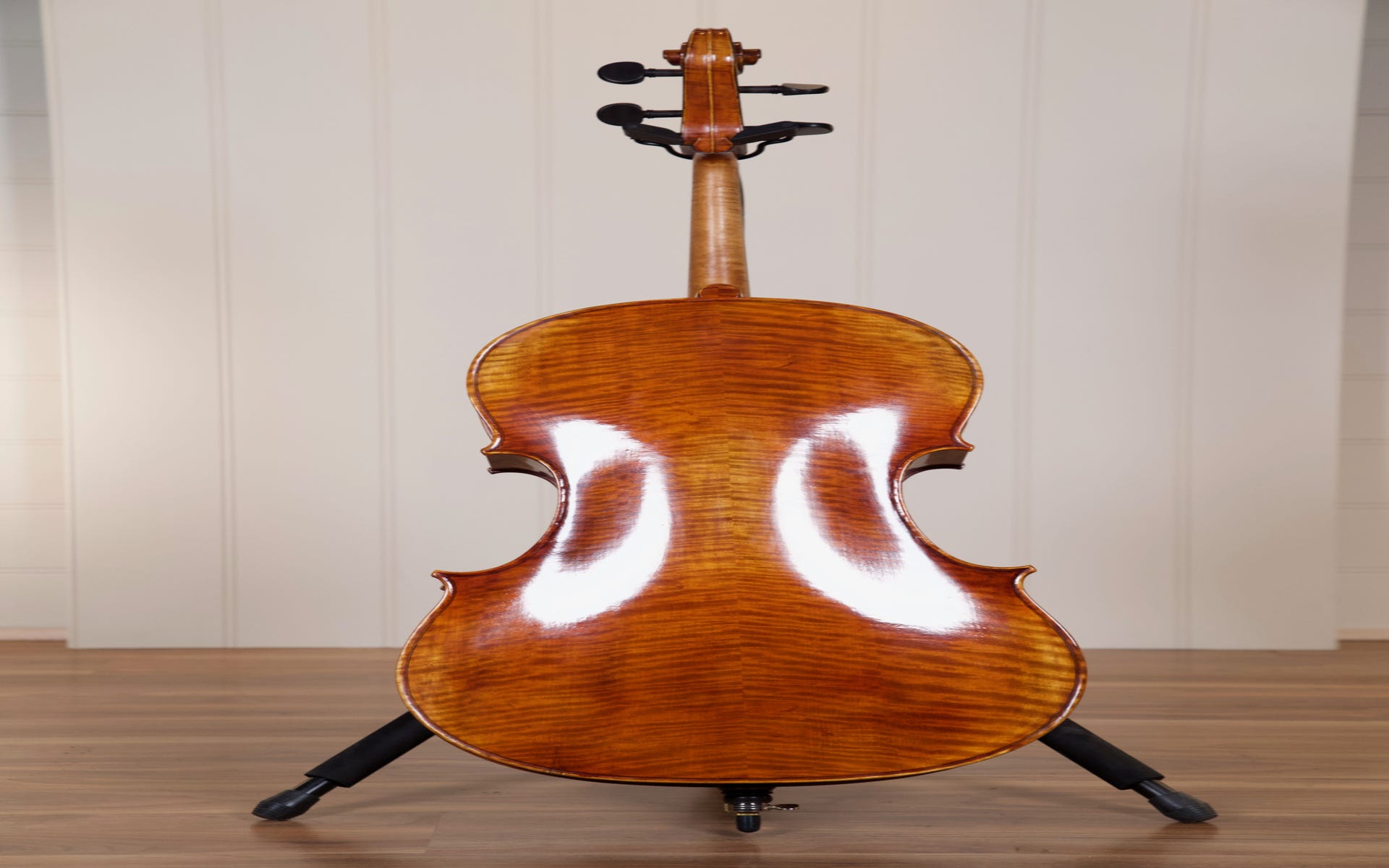 Raggetti Master Cello 6.1 4/4 Cello Outfit - Rocca Model