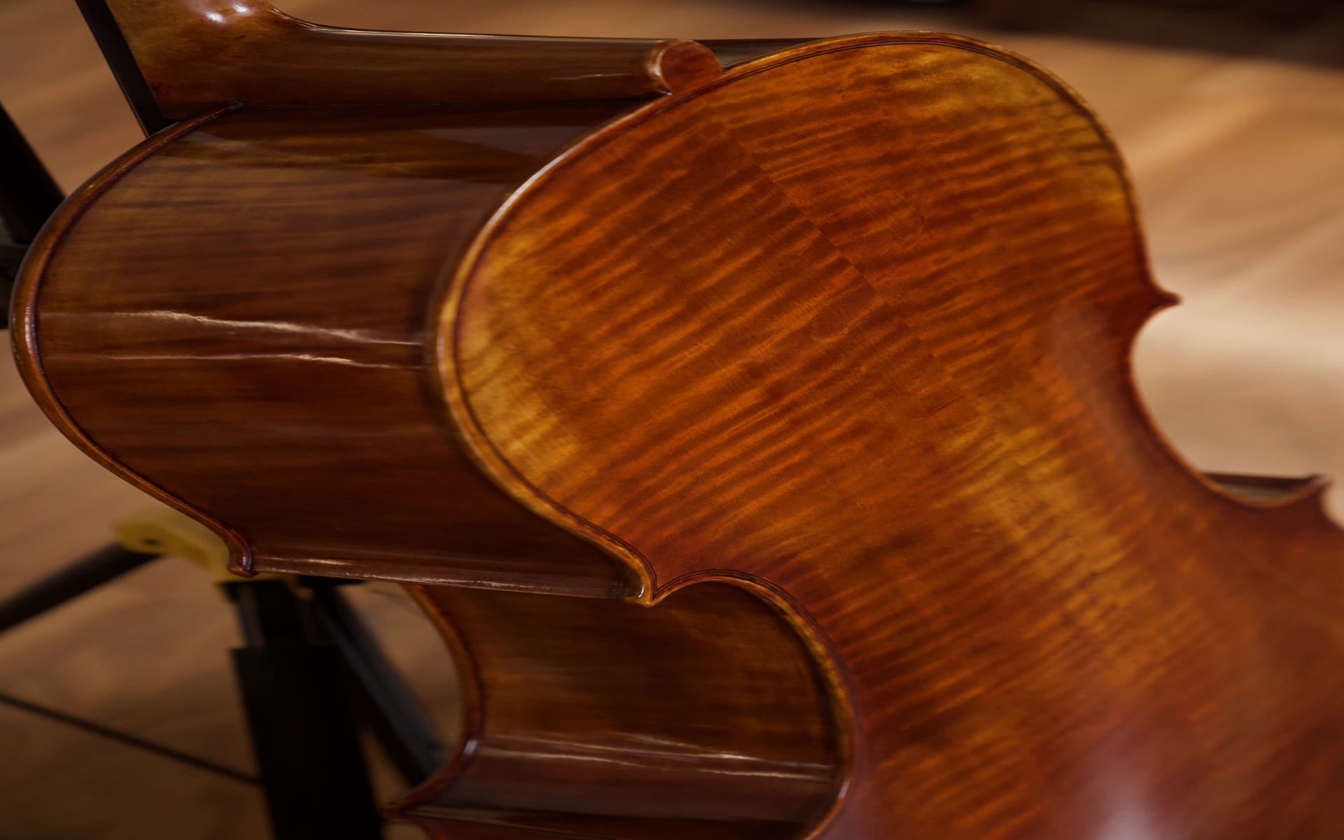 Raggetti Master Cello 6.1 4/4 Cello Outfit - Rocca Model