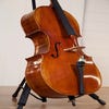 Raggetti Master Cello 6.1 4/4 Cello Outfit - Rocca Model