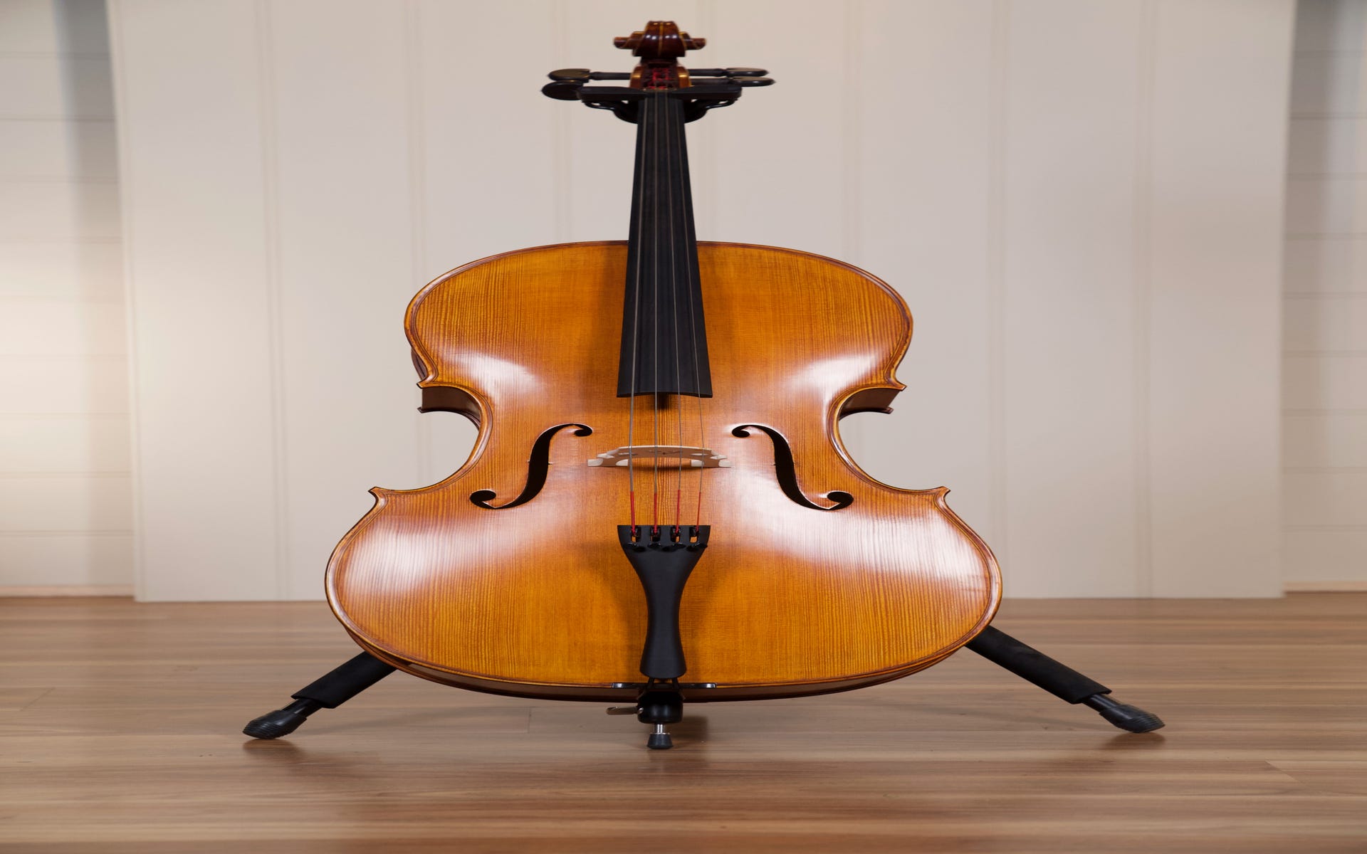 Gliga Vasile 4/4 Cello Outfit - Antique Oil Finish