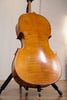 Gliga Vasile 4/4 Cello Outfit - Antique Oil Finish