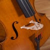 Gliga Vasile 4/4 Cello Outfit - Antique Oil Finish