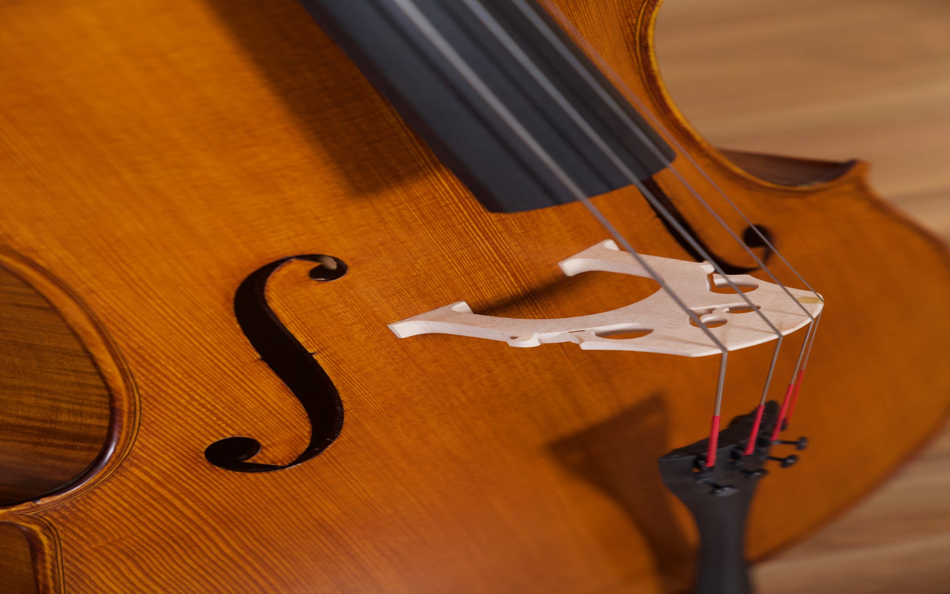 Gliga Vasile 4/4 Cello Outfit - Antique Oil Finish