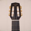 Altamira Guitars Model M Solid-Top Gypsy Jazz Guitar w/Padded Bag - Spruce/Maple