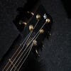 Warwick Signature Buzzard 5-String Bass w/Flight Case - Left Handed - Pre-Owned