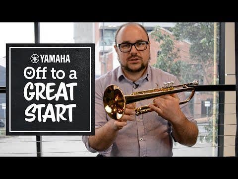 Yamaha YTR6335A professional standard weight trumpet (YTR-6335A)