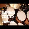 Remo Emperor Coated 16
