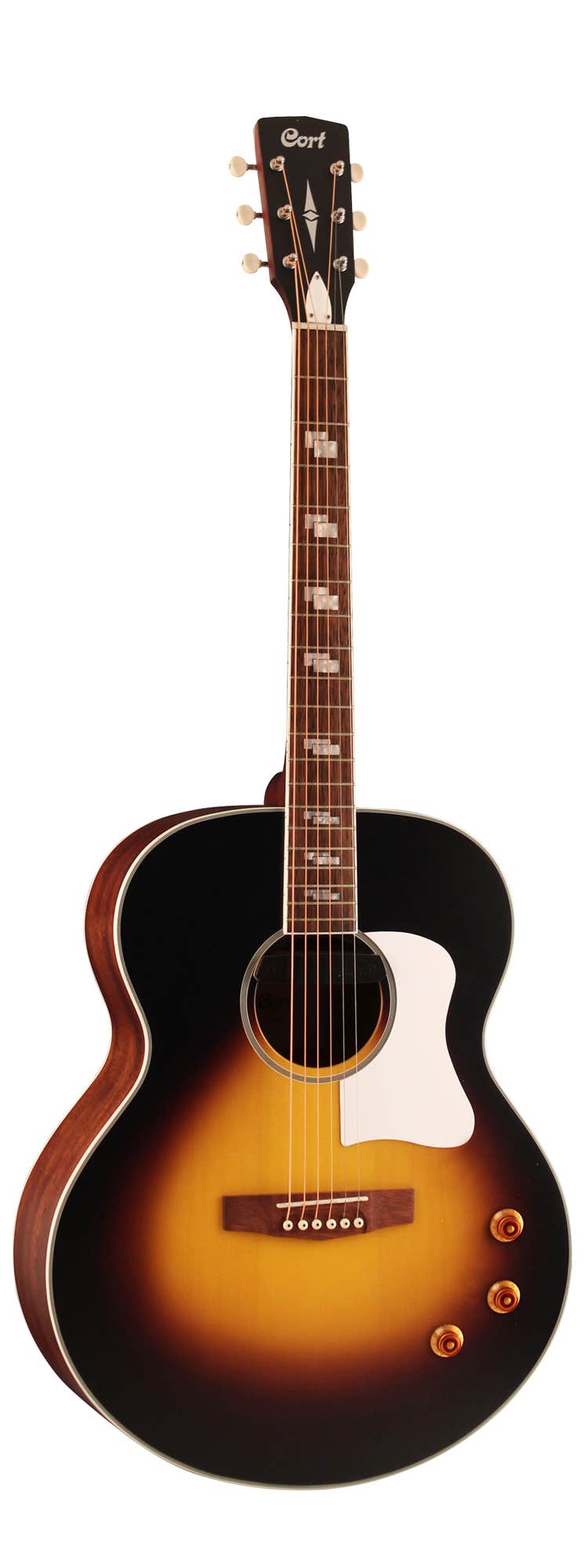 Cort jumbo acoustic hot sale guitar