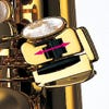 Professional Alto S/Silver Neck/Body