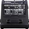 Roland Cube Street EX Battery Powered Stereo Amplifier (CUBESTEX)