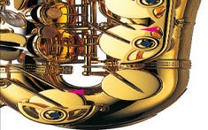 Professional Alto S/Silver Neck/Body