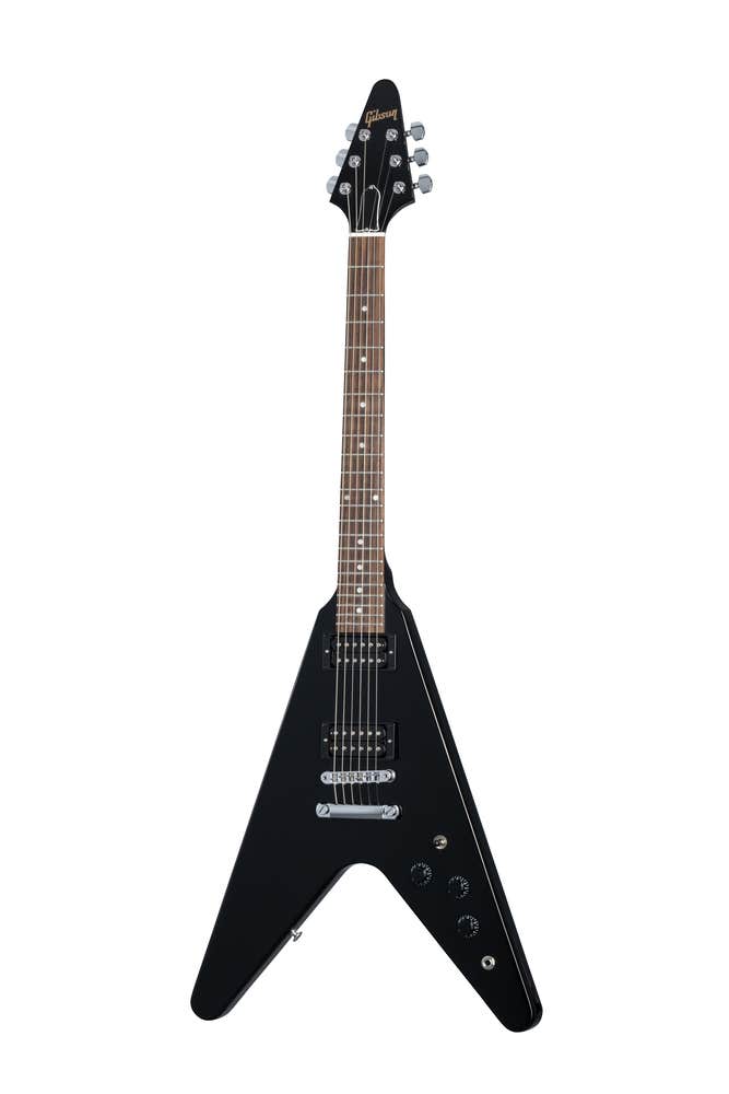 Flying v bass case on sale