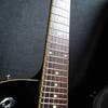 Duesenberg Starplayer TV+ w/Case - Black - Pre-Owned