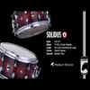 Mapex Black Panther Solidus 14x7