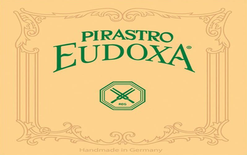 2ND D DOUBLE BASS STRING SILVER/ GUT 3/4 SIZE / EUDOXA (PIRASTRO)