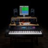 Roland Fantom 6 EX - Synthesizer Keyboard